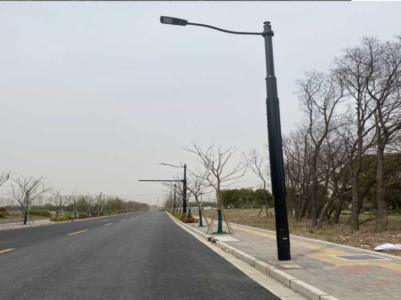 巴塘县上海综合杆 太阳能路灯工程